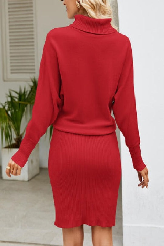 Mock Neck Long Sleeve Dress