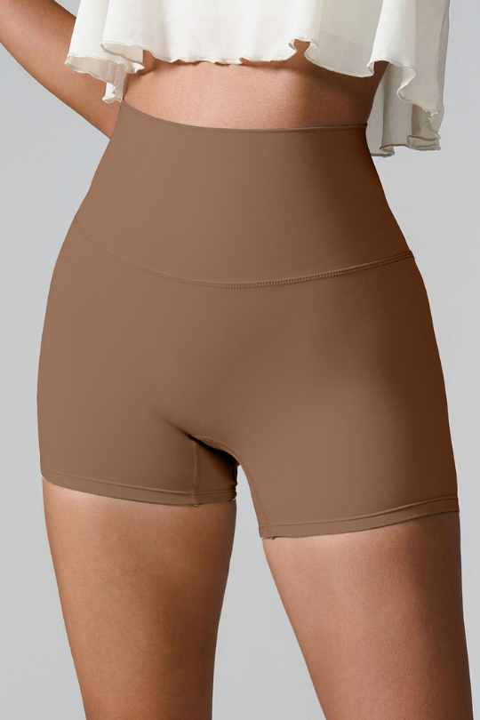 Women's High Waist Active Gym Shorts