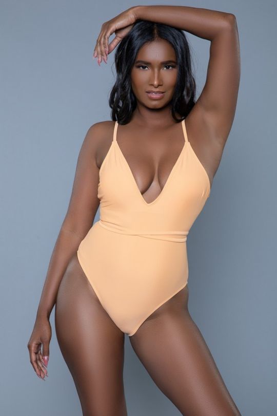 One Piece V-Neck Back Tie Swimsuit