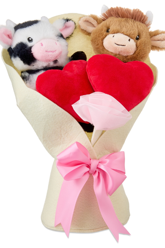 Valentine's Day Animal Bouquet Plush